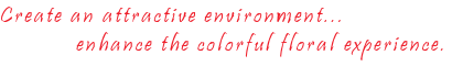 Create an attractive environment, enhance the colorful floral experience.